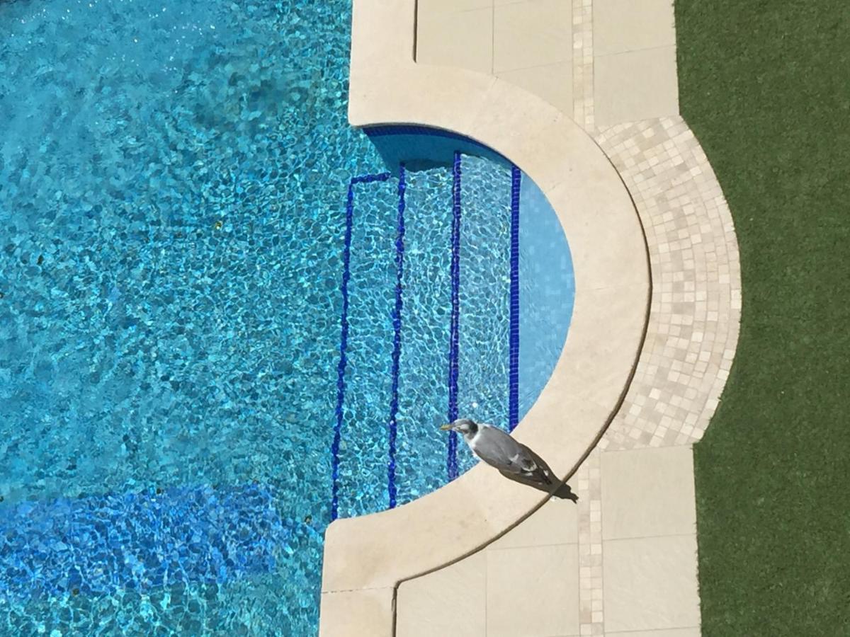 3 Min Walking To Peneco Beach Albufeira , Apart + Pool + Wifi ภายนอก รูปภาพ